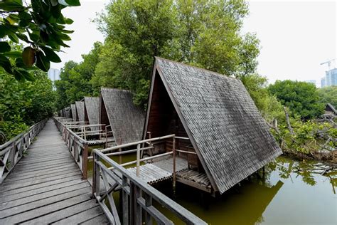Resor RedDoorz Taman Wisata Mangrove, Liburan Seru di Alam Hijau!